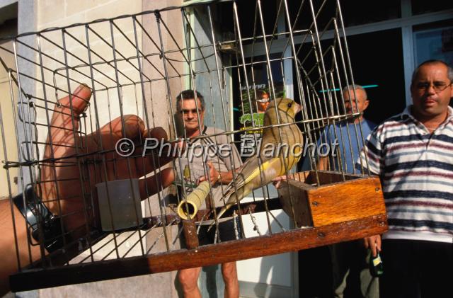 malte 18.JPG - Vendeur d'oiseaux (canaries....)La ValetteMalte